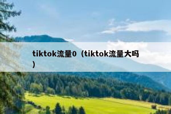 tiktok流量0（tiktok流量大吗） 第1张