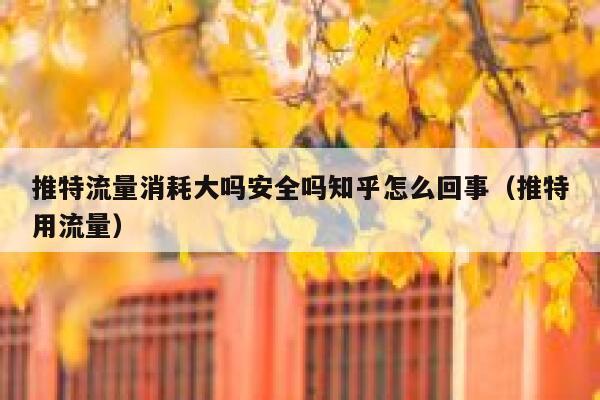 推特流量消耗大吗安全吗知乎怎么回事（推特用流量） 第1张