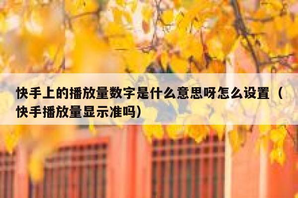 快手上的播放量数字是什么意思呀怎么设置（快手播放量显示准吗） 第1张