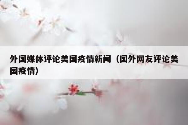 外国媒体评论美国疫情新闻（国外网友评论美国疫情） 第1张