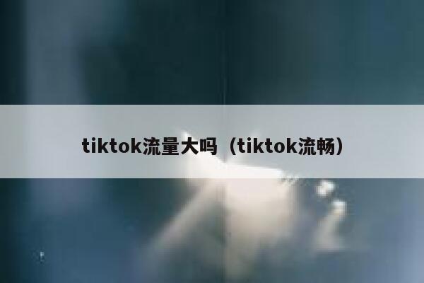 tiktok流量大吗（tiktok流畅） 第1张