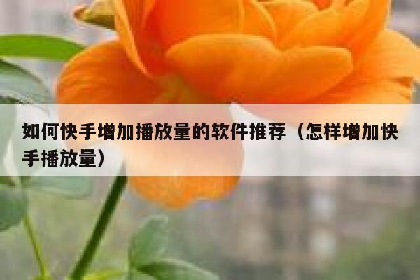 如何快手增加播放量的软件推荐（怎样增加快手播放量） 第1张