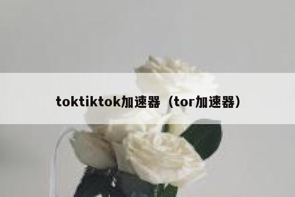 toktiktok加速器（tor加速器） 第1张