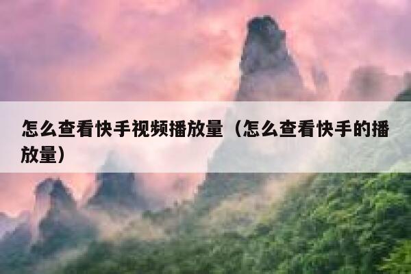 怎么查看快手视频播放量(怎么查看快手的播放量) 第1张 怎么查看快手视频播放量(怎么查看快手的播放量) 第1张