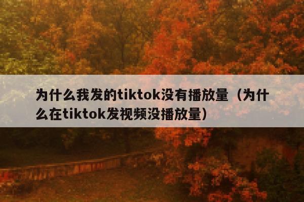 为什么我发的tiktok没有播放量(为什么在tiktok发视频没播放量) 第1张 为什么我发的tiktok没有播放量(为什么在tiktok发视频没播放量) 第1张