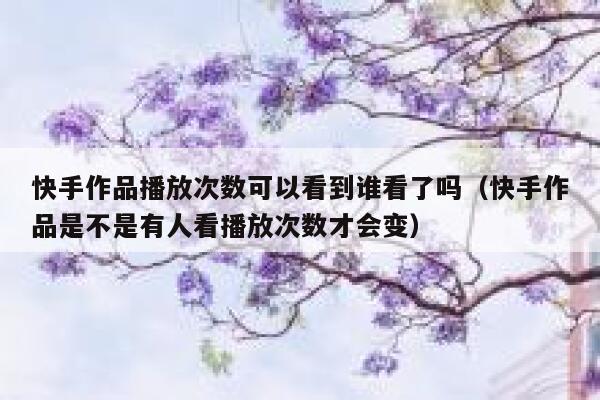 快手作品播放次数可以看到谁看了吗（快手作品是不是有人看播放次数才会变） 第1张