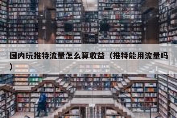 国内玩推特流量怎么算收益（推特能用流量吗） 第1张
