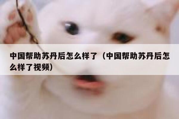 中国帮助苏丹后怎么样了（中国帮助苏丹后怎么样了视频） 第1张