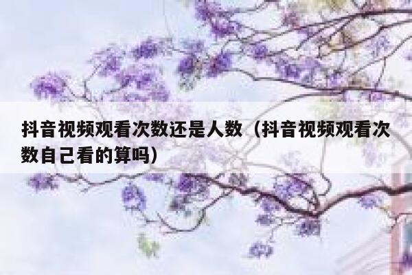 抖音视频观看次数还是人数(抖音视频观看次数自己看的算吗) 第1张 抖音视频观看次数还是人数(抖音视频观看次数自己看的算吗) 第1张