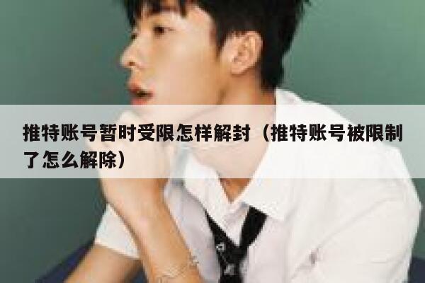 推特账号暂时受限怎样解封(推特账号被限制了怎么解除) 第1张 推特账号暂时受限怎样解封(推特账号被限制了怎么解除) 第1张