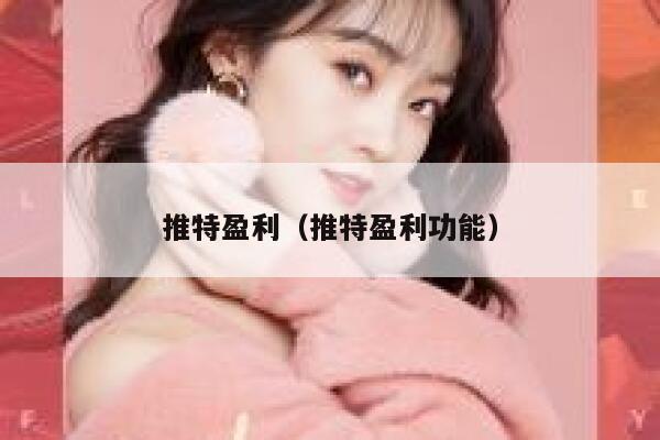 推特盈利（推特盈利功能） 第1张