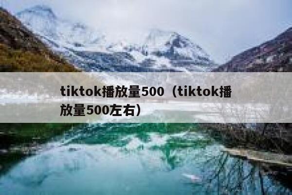 tiktok播放量500（tiktok播放量500左右） 第1张