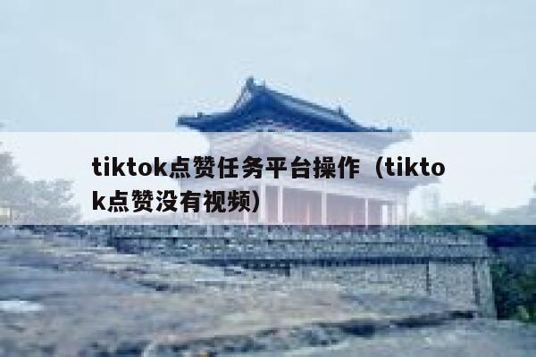 tiktok点赞任务平台操作（tiktok点赞没有视频） 第1张