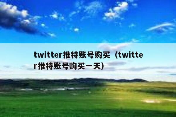 twitter推特账号购买（twitter推特账号购买一天） 第1张