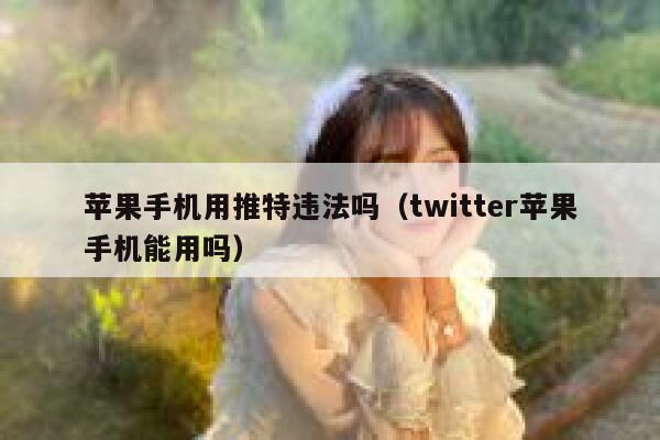 苹果手机用推特违法吗（twitter苹果手机能用吗） 第1张