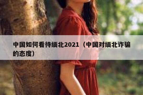 中国如何看待缅北2021（中国对缅北诈骗的态度） 第1张