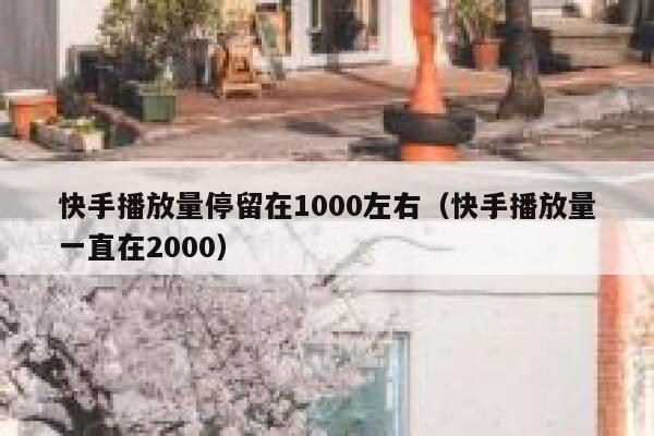 快手播放量停留在1000左右（快手播放量一直在2000） 第1张