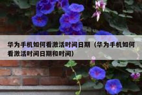 华为手机如何看激活时间日期（华为手机如何看激活时间日期和时间） 第1张