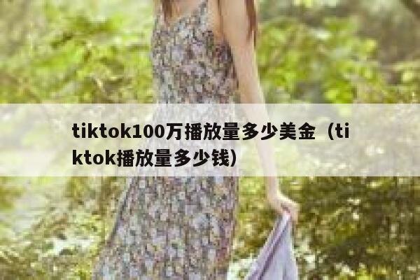 tiktok100万播放量多少美金（tiktok播放量多少钱） 第1张