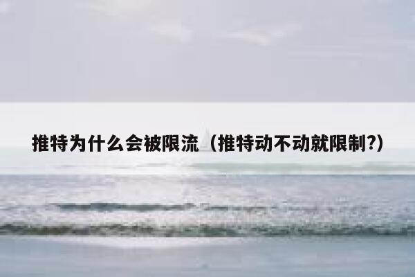 推特为什么会被限流（推特动不动就限制?） 第1张
