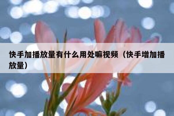 快手加播放量有什么用处嘛视频（快手增加播放量） 第1张