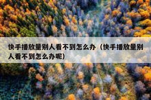 快手播放量别人看不到怎么办（快手播放量别人看不到怎么办呢） 第1张