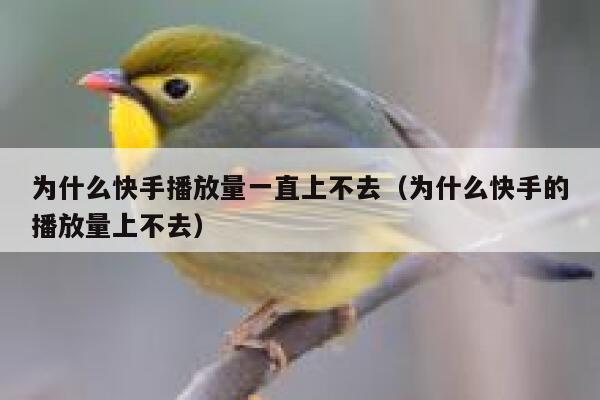 为什么快手播放量一直上不去（为什么快手的播放量上不去） 第1张