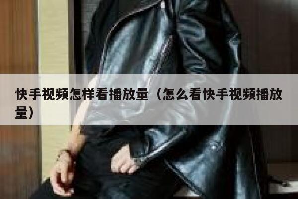 快手视频怎样看播放量（怎么看快手视频播放量） 第1张