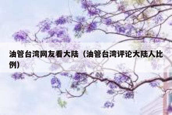 油管台湾网友看大陆（油管台湾评论大陆人比例） 第1张