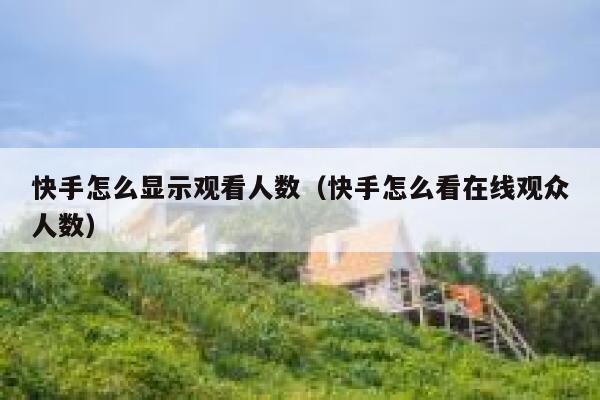 快手怎么显示观看人数（快手怎么看在线观众人数） 第1张