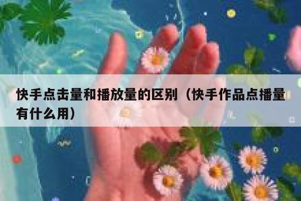 快手点击量和播放量的区别(快手作品点播量有什么用) 第1张 快手点击量和播放量的区别(快手作品点播量有什么用) 第1张