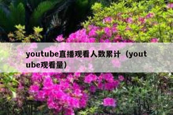 youtube直播观看人数累计（youtube观看量） 第1张