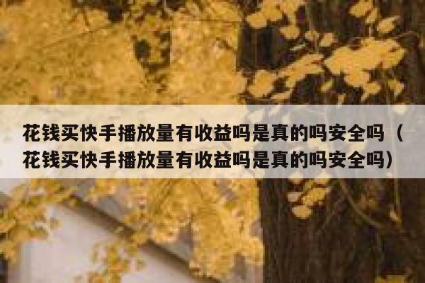 花钱买快手播放量有收益吗是真的吗安全吗（花钱买快手播放量有收益吗是真的吗安全吗） 第1张