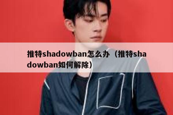 推特shadowban怎么办（推特shadowban如何解除） 第1张