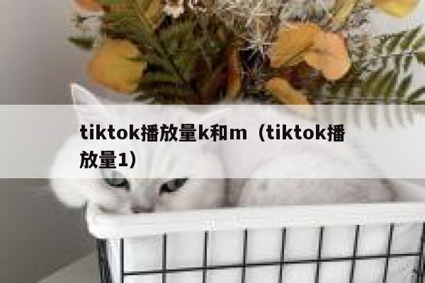 tiktok播放量k和m（tiktok播放量1） 第1张