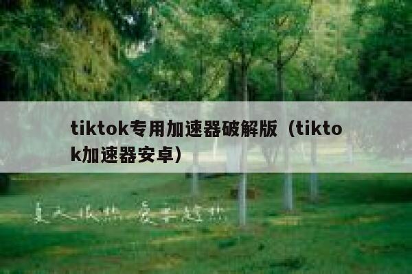 tiktok专用加速器破解版（tiktok加速器安卓） 第1张