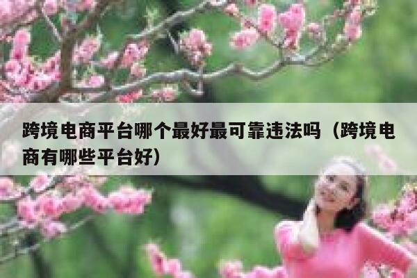 跨境电商平台哪个最好最可靠违法吗（跨境电商有哪些平台好） 第1张