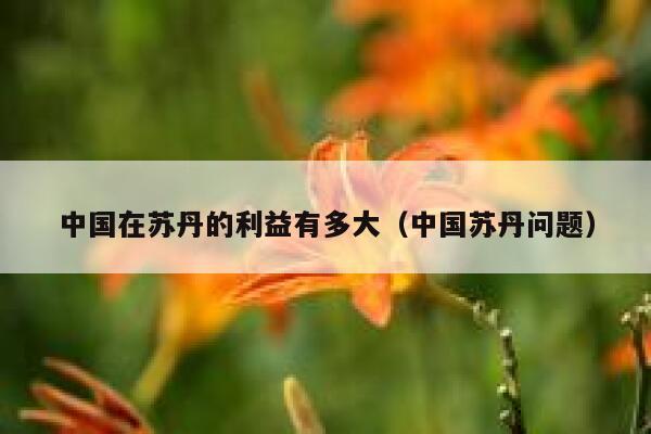 中国在苏丹的利益有多大（中国苏丹问题） 第1张