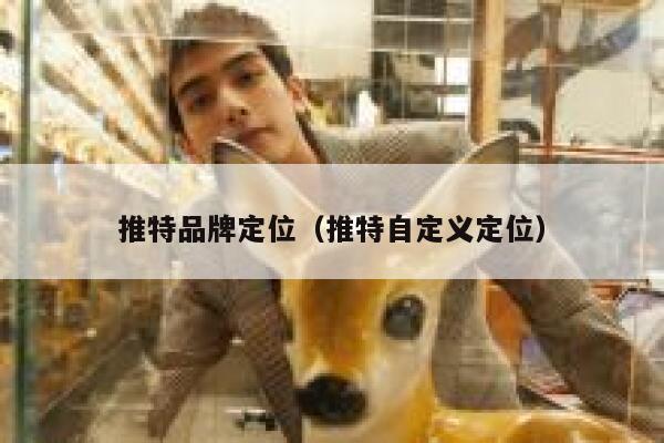 推特品牌定位（推特自定义定位） 第1张