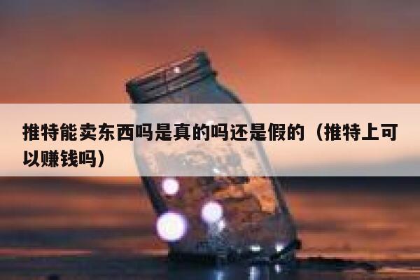 推特能卖东西吗是真的吗还是假的（推特上可以赚钱吗） 第1张