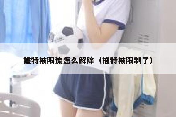 推特被限流怎么解除（推特被限制了） 第1张