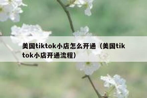 美国tiktok小店怎么开通（美国tiktok小店开通流程） 第1张