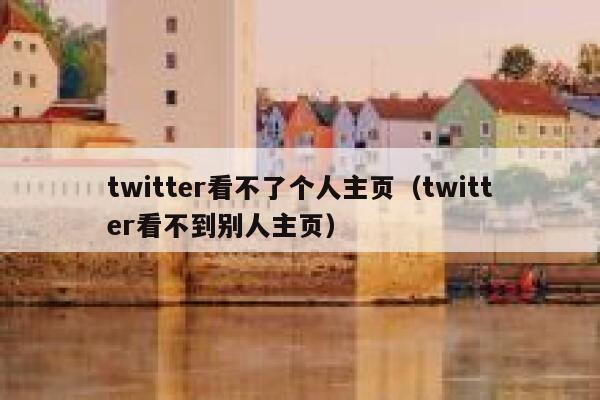 twitter看不了个人主页（twitter看不到别人主页） 第1张