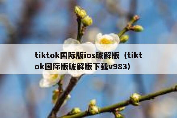tiktok国际版ios破解版（tiktok国际版破解版下载v983） 第1张