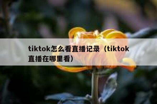 tiktok怎么看直播记录（tiktok直播在哪里看） 第1张