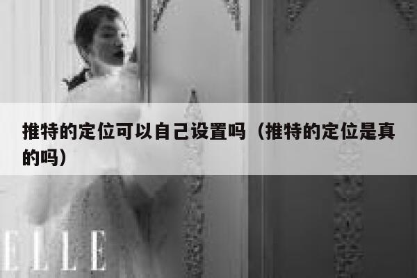 推特的定位可以自己设置吗（推特的定位是真的吗） 第1张