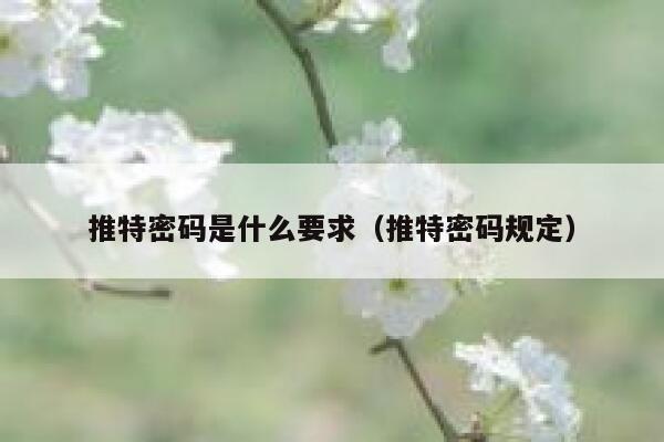 推特密码是什么要求（推特密码规定） 第1张