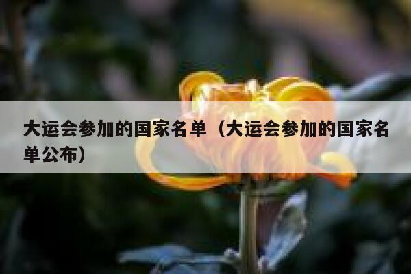 大运会参加的国家名单（大运会参加的国家名单公布） 第1张