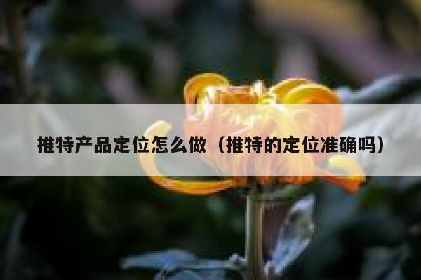 推特产品定位怎么做（推特的定位准确吗） 第1张