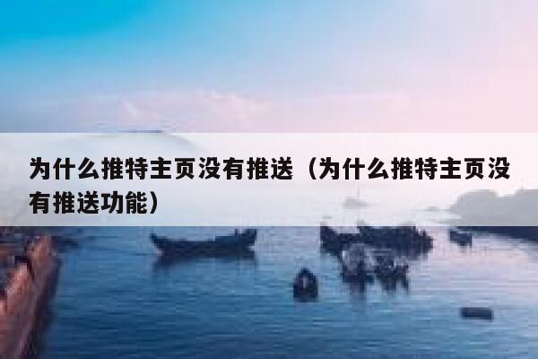 为什么推特主页没有推送（为什么推特主页没有推送功能） 第1张
